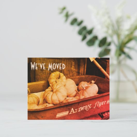セピアカボチャ新しい住所はがき 案内ポストカード (スタンド正面)