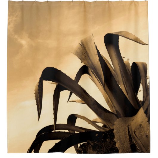 セピアスペインのアロエ植物写真 シャワーカーテン (正面)