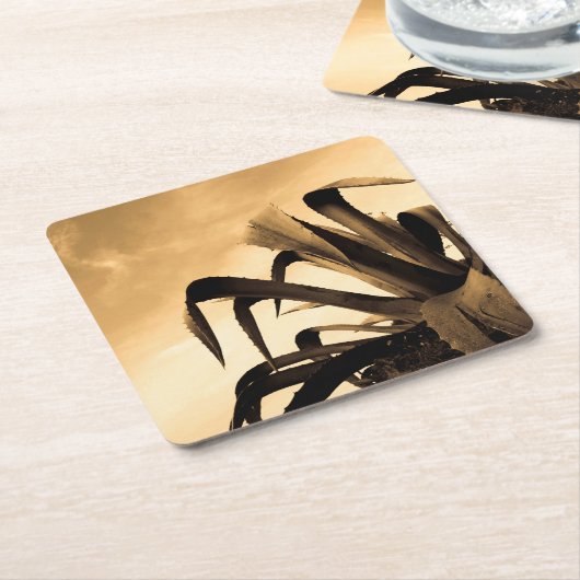 セピアスペインのアロエ植物写真 スクエアペーパーコースター (アングル)