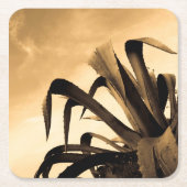 セピアスペインのアロエ植物写真 スクエアペーパーコースター (正面)