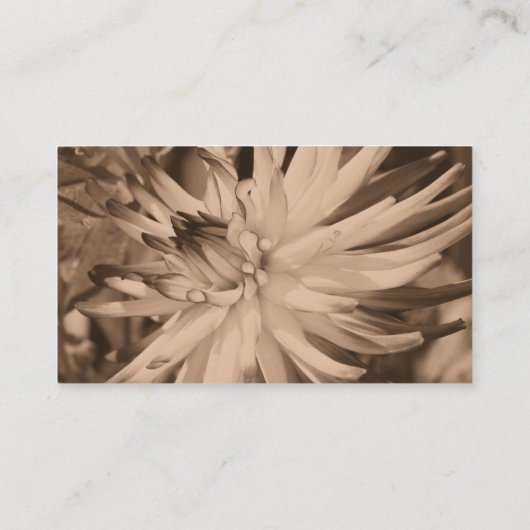 セピアダリアフラワー写真名刺 名刺 (裏面)