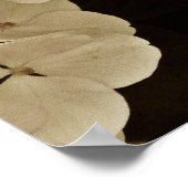 セピアトーンホワイトラケapあじさい花のポスター ポスター (角)