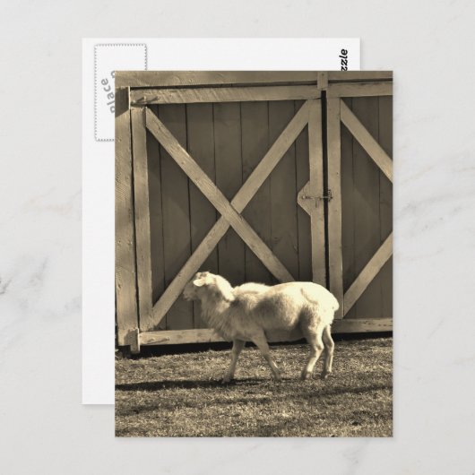 セピアトーンヤギとバーンドア ポストカード (正面/裏面)
