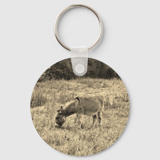 セピアトーンロバのフィールド。 キーホルダー (正面)