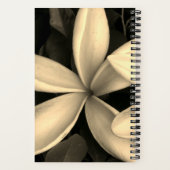 セピアハワイアンフラワーフォトスパイラルノート ノートブック (裏面)