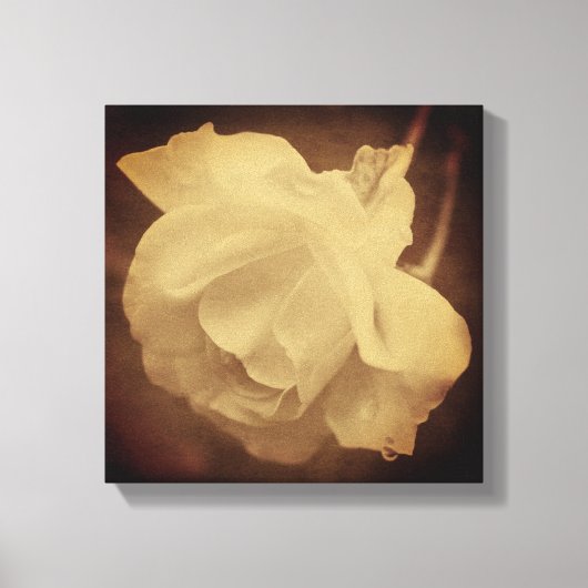 セピアバラと雨滴の高齢者ヴィンテージルック キャンバスプリント (正面)