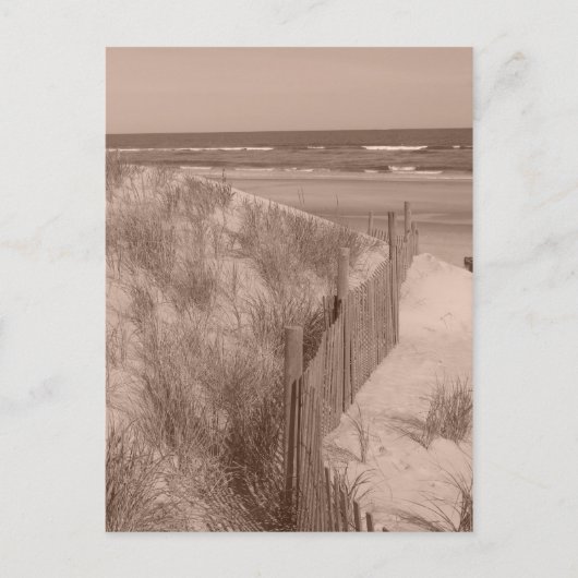 セピアビーチシーン ポストカード (正面)
