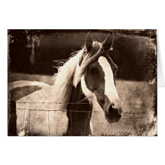 セピアピント (正面横)