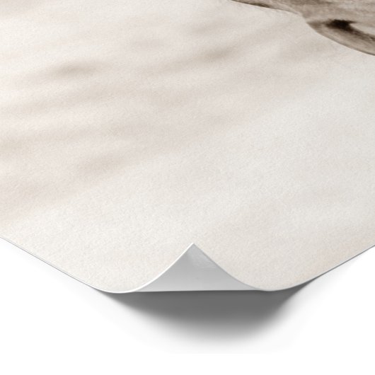 セピアブラウン馬 ポスター (角)