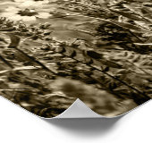 セピアボタニー ポスター (角)