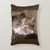 セピアメーンクーンキャット装飾用クッション アクセントクッション (正面(垂直))