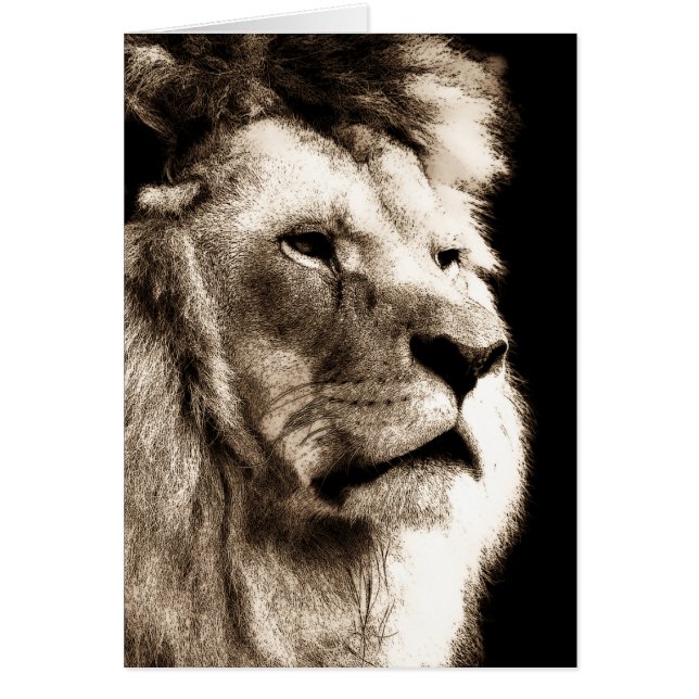 セピアライオン (正面)