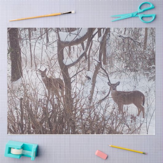 セピア冬シーズン雪と鹿の写真 薄葉紙 (クラフト)