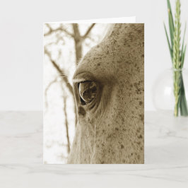 セピア灰色の馬の目の写真 カード