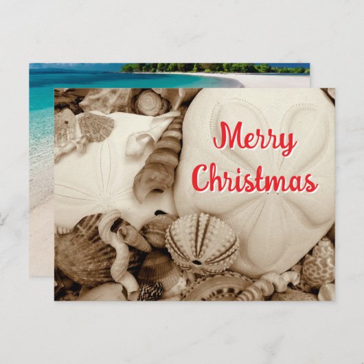 セピア砂ドルクリスマス シーズンポストカード (正面/裏面)