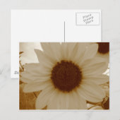 セピア色のヒマワリ ポストカード (正面/裏面)