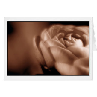 セピア色のベゴニア2