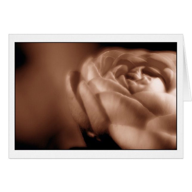 セピア色のベゴニア2 (正面横)