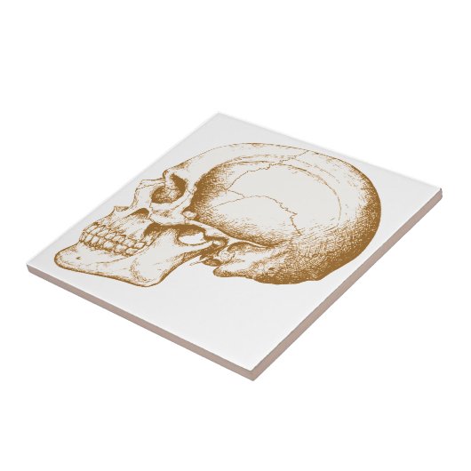 セピア色の人間のスカル タイル (側面)