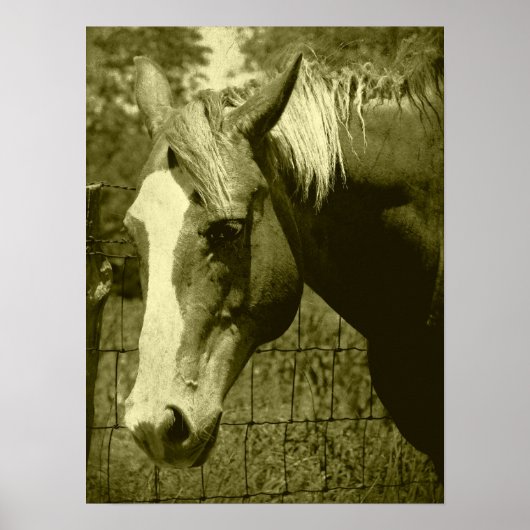 セピア色の単位 ポスター (正面)