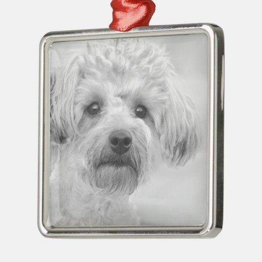 セピア色の調子の素晴らしいヨークシャーテリアPoo メタルオーナメント (左)