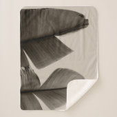 セピア葉のバナナツリー シェルパブランケット (正面)