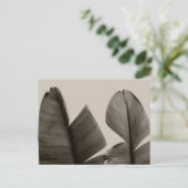 セピア葉のバナナツリー ポストカード (スタンド正面)