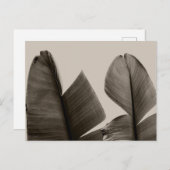 セピア葉のバナナツリー ポストカード (正面/裏面)