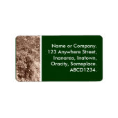 セピア葉 ラベル (正面)