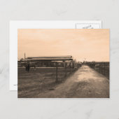 セピア調の写真 ポストカード (正面/裏面)