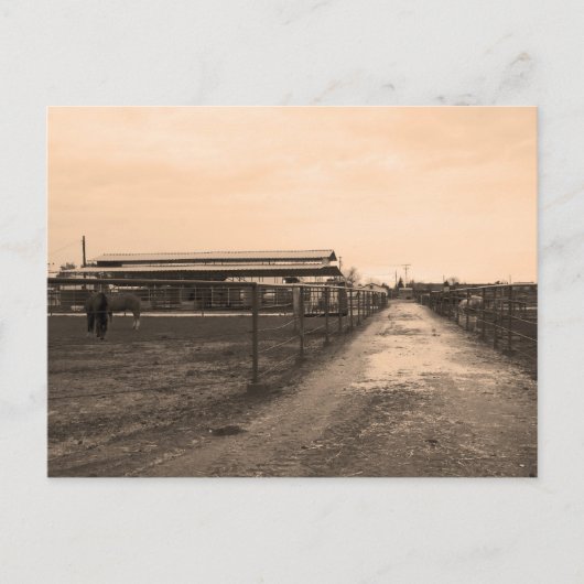 セピア調の写真 ポストカード (正面)