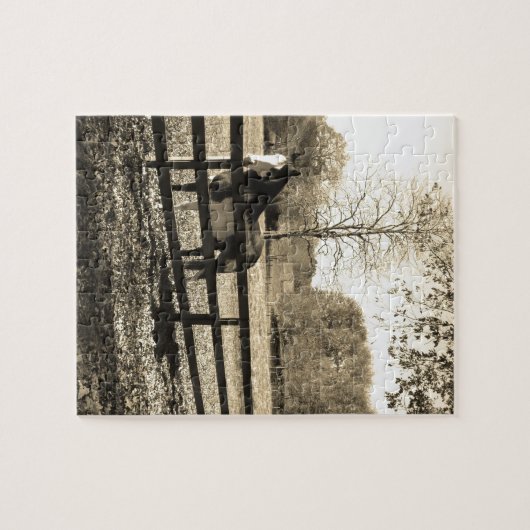 セピア調の黒馬と白馬の写真 ジグソーパズル (横)