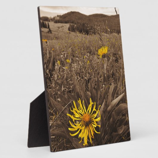 セピア調イエローワイルドフラワー フォトプラーク (側面)