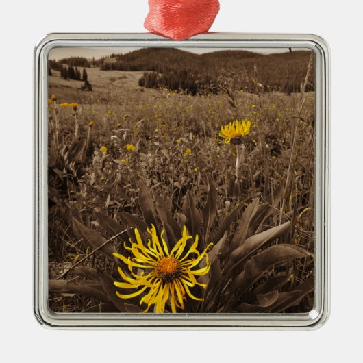 セピア調イエローワイルドフラワー メタルオーナメント (正面)