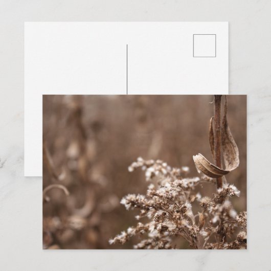 セピア調 ポストカード (正面/裏面)