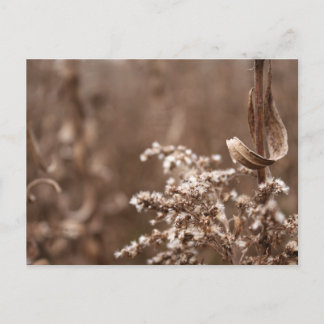 セピア調 ポストカード