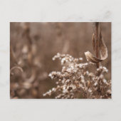 セピア調 ポストカード (正面)