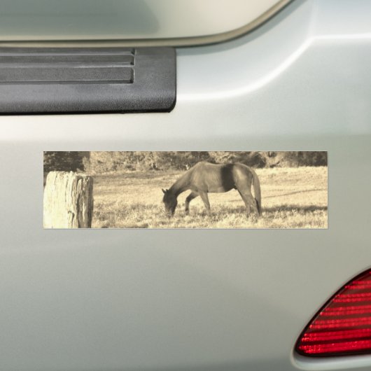 セピア音茶色の馬とフェンス バンパーステッカー (車上)