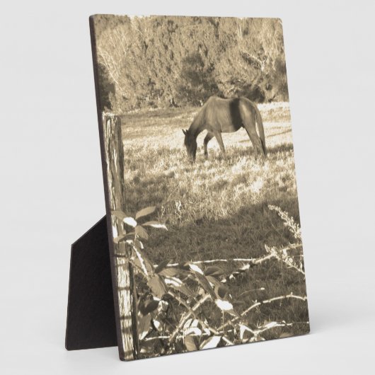 セピア音茶色の馬とフェンス フォトプラーク (側面)