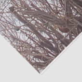 セピア ウィンター シーズン 雪と鹿の写真 薄葉紙 (詳細)