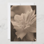 セピア·クレマティスの花婚式が日付を救う 招待状 (裏面)