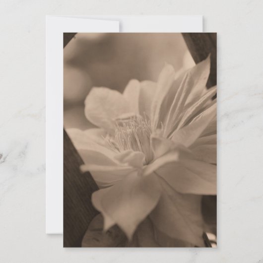 セピア·クレマティスの花婚式が日付を救う 招待状 (裏面)