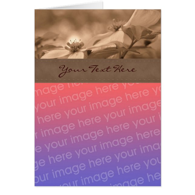 セピア・ドッグウッドフラワーフォトカード (正面)