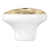 セピア・バターフルール |タンバタフライ(紋章の)フラ・ダ・リ セラミックノブ (側面)