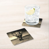 セピ威厳のあるアの野生の雄牛ゾウ スクエアペーパーコースター (インサイチュ)