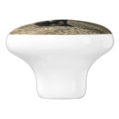 セピ威厳のあるアの野生の雄牛 セラミックノブ (側面)