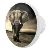 セピ威厳のあるアの野生の雄牛 セラミックノブ (右)