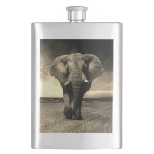 セピ威厳のあるアの野生の雄牛 フラスク (正面)