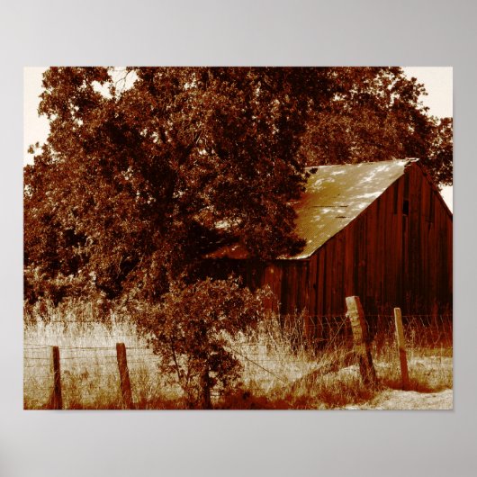 セピ素朴ア・バーン ポスター (正面)