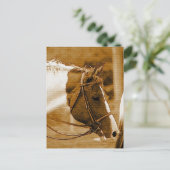 セフィアホースのモザイク ポストカード (スタンド正面)